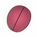 FL State Official-Size Autograph Basketball - Logo Brands - Flyclothing LLC