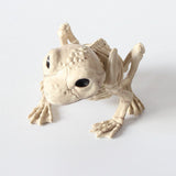 Halloween Decoration Artificial Animal Skeleton - My Store - Flyclothing LLC