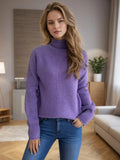 Turtleneck Long Sleeve Sweater - Trendsi