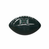 Hawaii Mini Size Glossy Football - Logo Brands - Flyclothing LLC