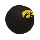 Iowa 4 in. Micro Soft Basketball - Logo Brands - Flyclothing LLC