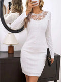 Lace Detail Round Neck Long Sleeve Mini Dress - Trendsi - Flyclothing LLC