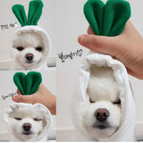 Cute Fruit Dog Clothes For Small Dogs Hoodies Winter Warm Fleece Pet Clothing Puppy Cat Costume Coat For French Chihuahua Outfit - My Store - Flyclothing LLC