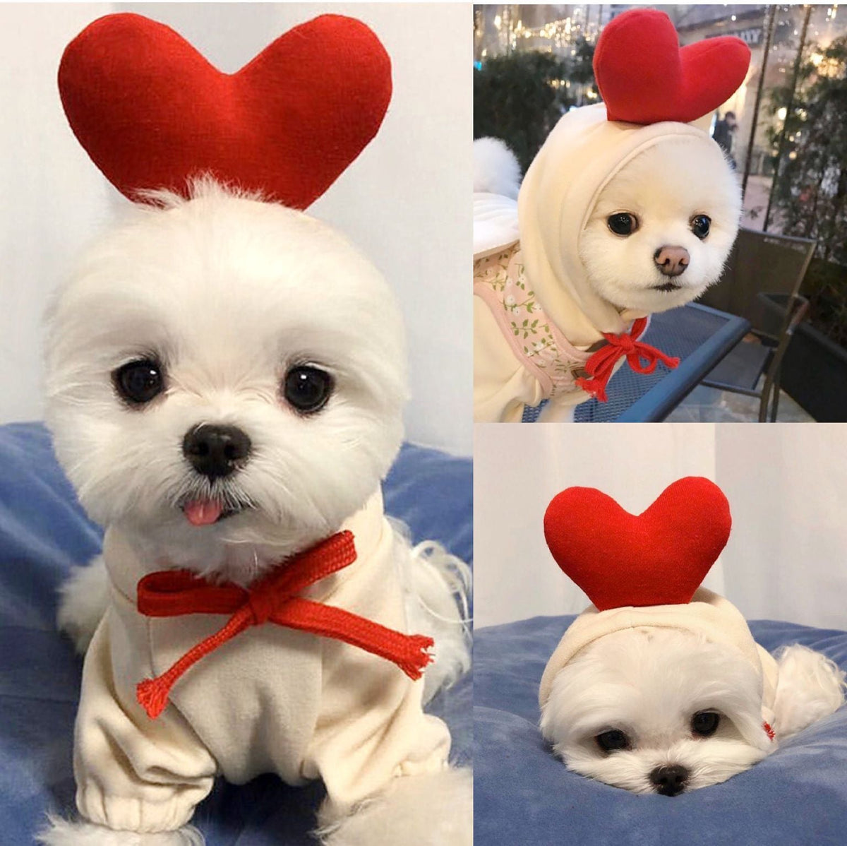 Cute Fruit Dog Clothes For Small Dogs Hoodies Winter Warm Fleece Pet Clothing Puppy Cat Costume Coat For French Chihuahua Outfit - My Store - Flyclothing LLC
