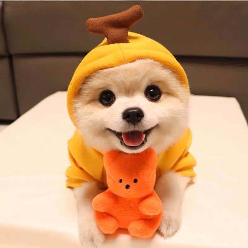 Cute Fruit Dog Clothes For Small Dogs Hoodies Winter Warm Fleece Pet Clothing Puppy Cat Costume Coat For French Chihuahua Outfit - My Store - Flyclothing LLC