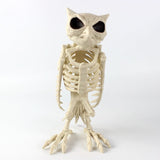 Halloween Decoration Artificial Animal Skeleton - My Store - Flyclothing LLC