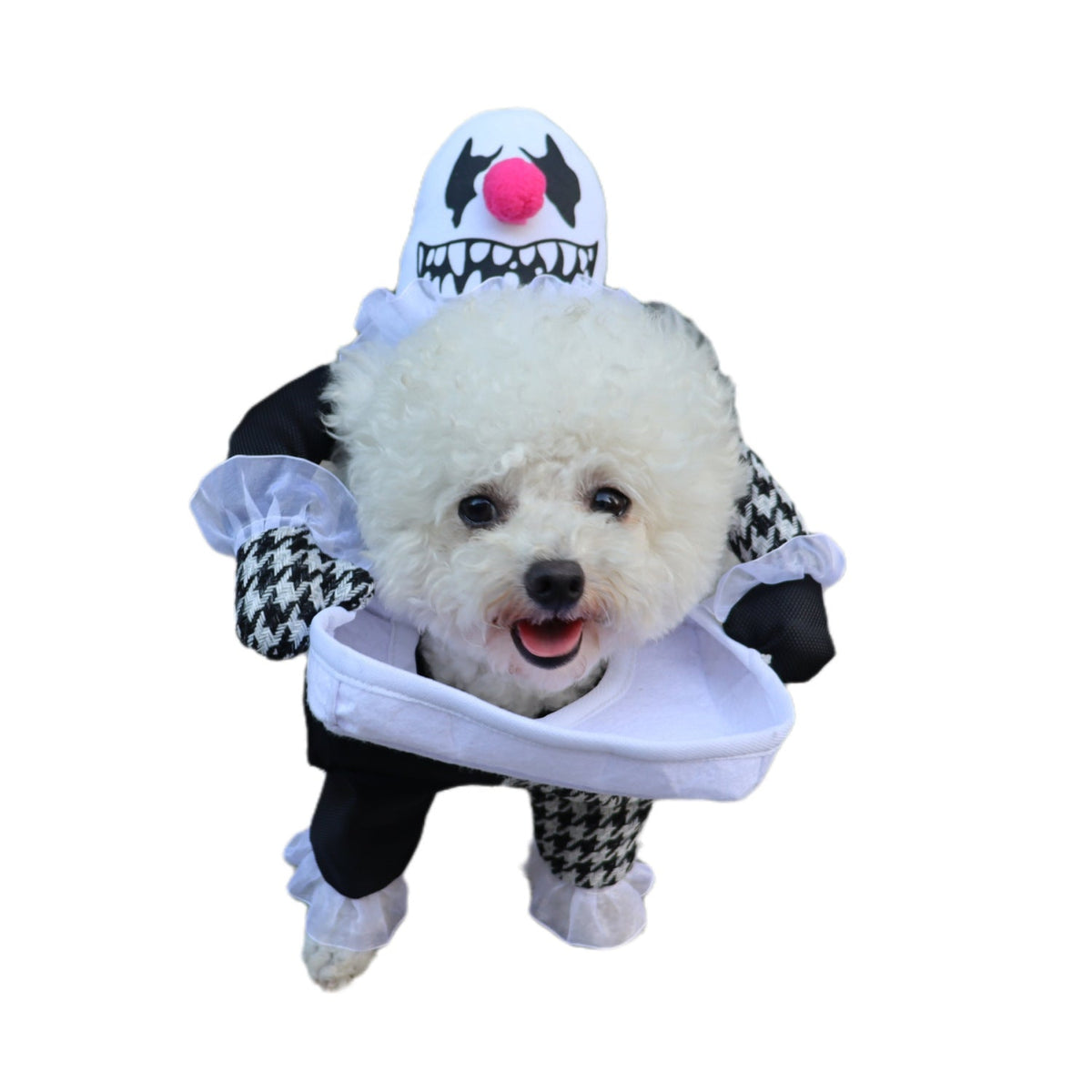 Pet Halloween Costume Photo Props Demon Transformation - My Store - Flyclothing LLC