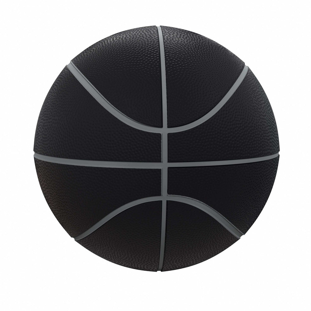 Michigan Blackout Full-Size Composite Basketball - Logo Brands - Flyclothing LLC