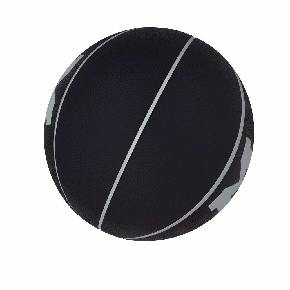 Michigan Blackout Full-Size Composite Basketball - Logo Brands - Flyclothing LLC