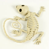 Halloween Decoration Artificial Animal Skeleton - My Store - Flyclothing LLC