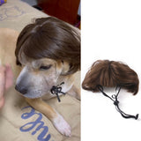 Halloween Christmas Wig Pet Hair Accessories - My Store - Flyclothing LLC