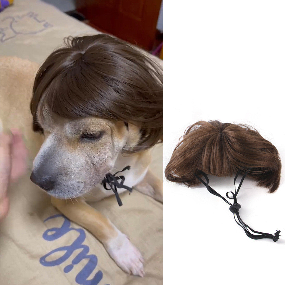 Halloween Christmas Wig Pet Hair Accessories - My Store - Flyclothing LLC
