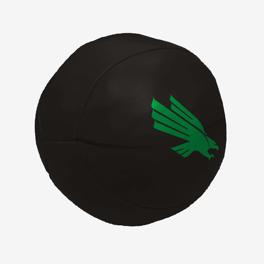 North Texas 4 in. Micro Soft Basketball - Logo Brands - Flyclothing LLC