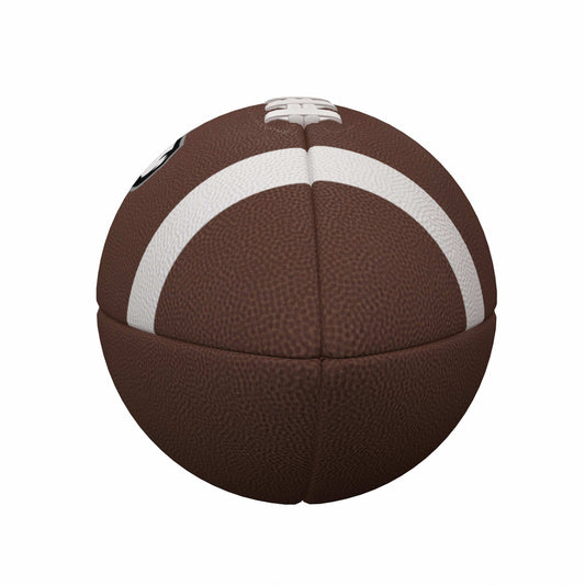 Northern Illinois Fullsize Composite Football - Logo Brands - Flyclothing LLC