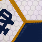 Notre Dame Soccer Ball - Logo Brands - Flyclothing LLC
