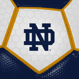 Notre Dame Soccer Ball - Logo Brands - Flyclothing LLC