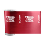 Oklahoma 1 Color 20oz Gameday Stainless Tumbler