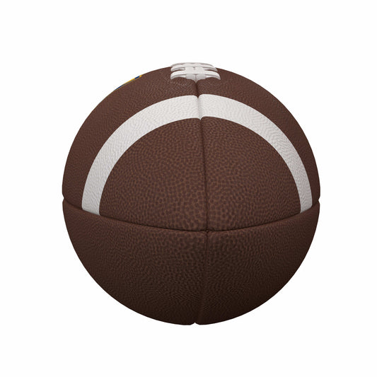 Pittsburgh Team Stripe Official-Size Composite Football - Logo Brands - Flyclothing LLC