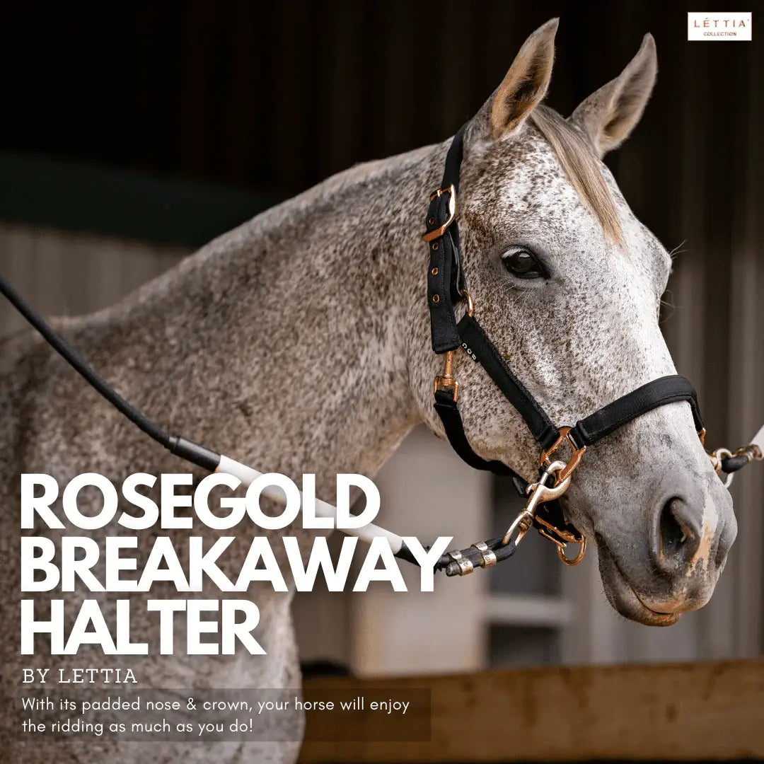 Lettia Rosegold Padded Leather Breakaway Halter - Breeches.com - Flyclothing LLC