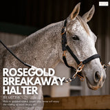 Lettia Rosegold Padded Leather Breakaway Halter - Breeches.com - Flyclothing LLC