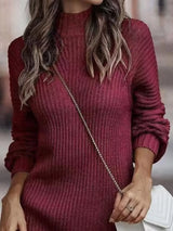 Full Size Turtleneck Raglan Sleeve Sweater Dress Plus Size - Trendsi - Flyclothing LLC