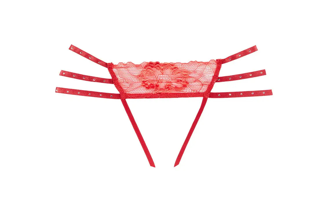 Allure Lingerie Nicole Panty - Allure Lingerie - Flyclothing LLC