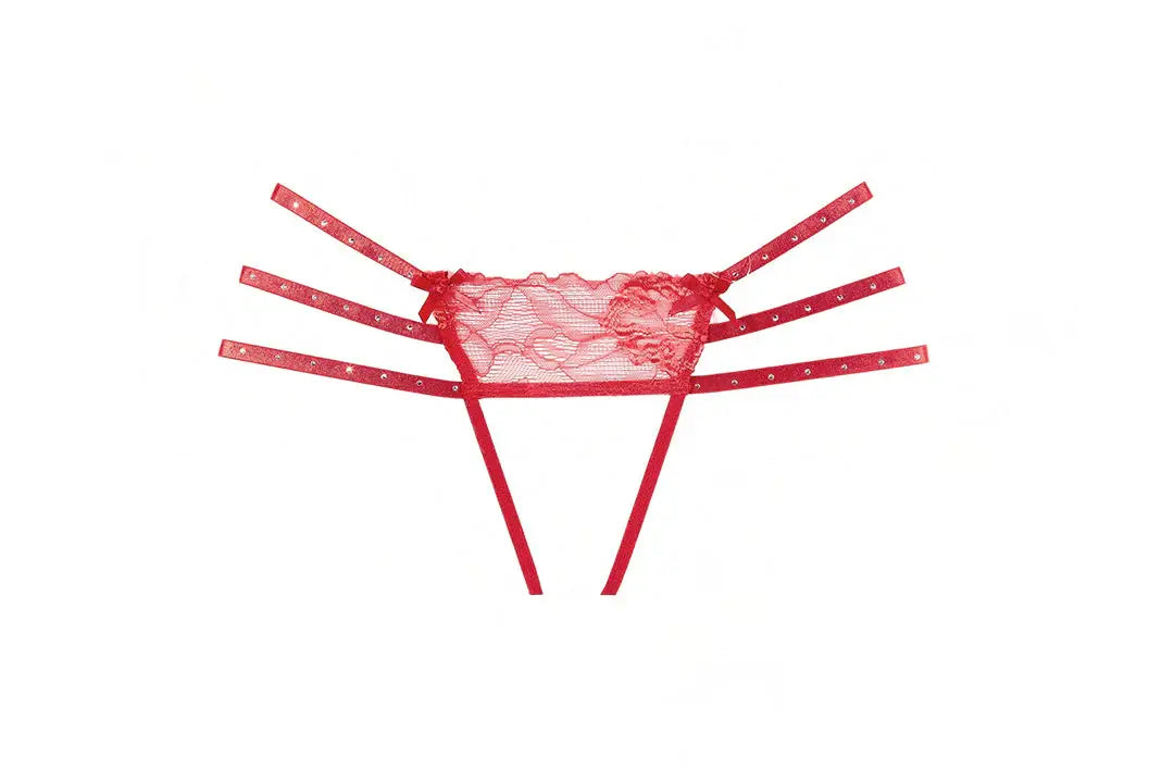 Allure Lingerie Nicole Panty - Allure Lingerie - Flyclothing LLC