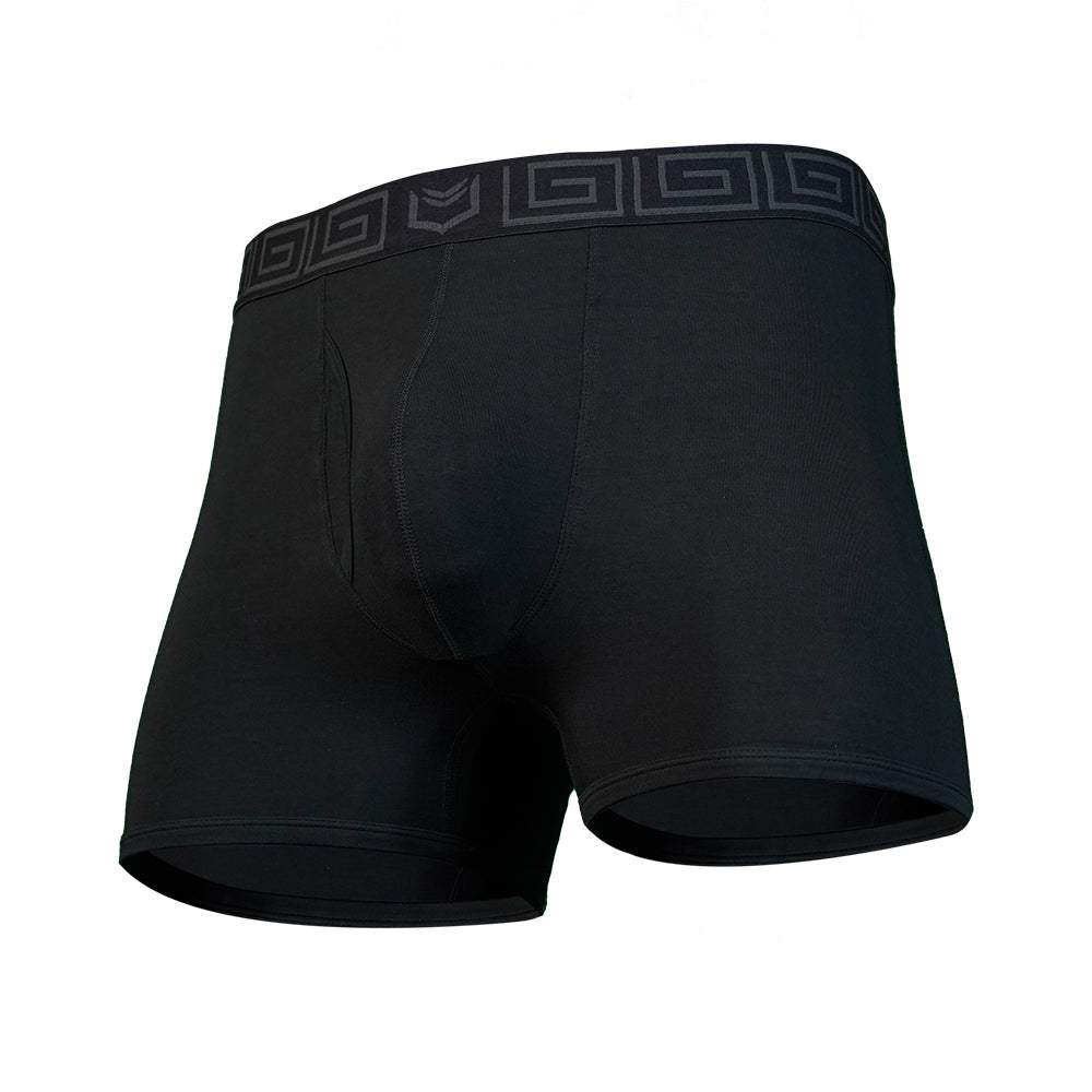 SHEATH 2.1 Bamboo Men's Pouch Trunk 3" - SHEATH UNDERWEAR - Flyclothing LLC