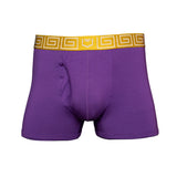 2.1 Modal 3" Trunk - Zen Pouch™ Duo - SHEATH UNDERWEAR - Flyclothing LLC