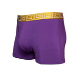 SHEATH 2.1 Modal Men's Pouch Trunk 3" - SHEATH UNDERWEAR - Flyclothing LLC