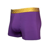 2.1 Modal 3" Trunk - Zen Pouch™ Duo - SHEATH UNDERWEAR - Flyclothing LLC