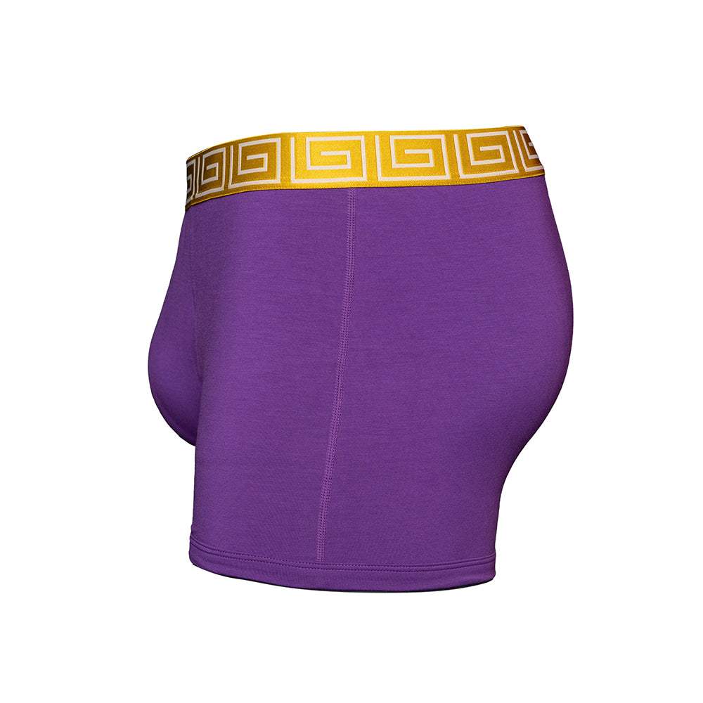 SHEATH 2.1 Modal Men's Pouch Trunk 3" - SHEATH UNDERWEAR - Flyclothing LLC
