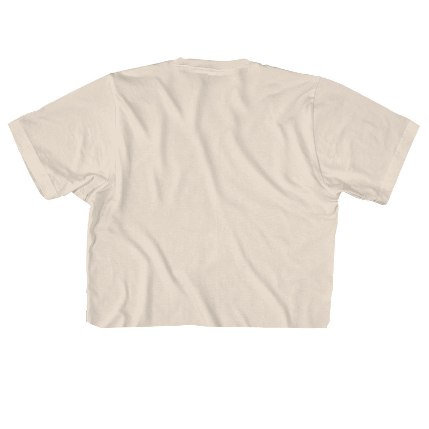 SPICE GIRLS GROUP PHOTO 21" CROPPED NATURAL T-SHIRT