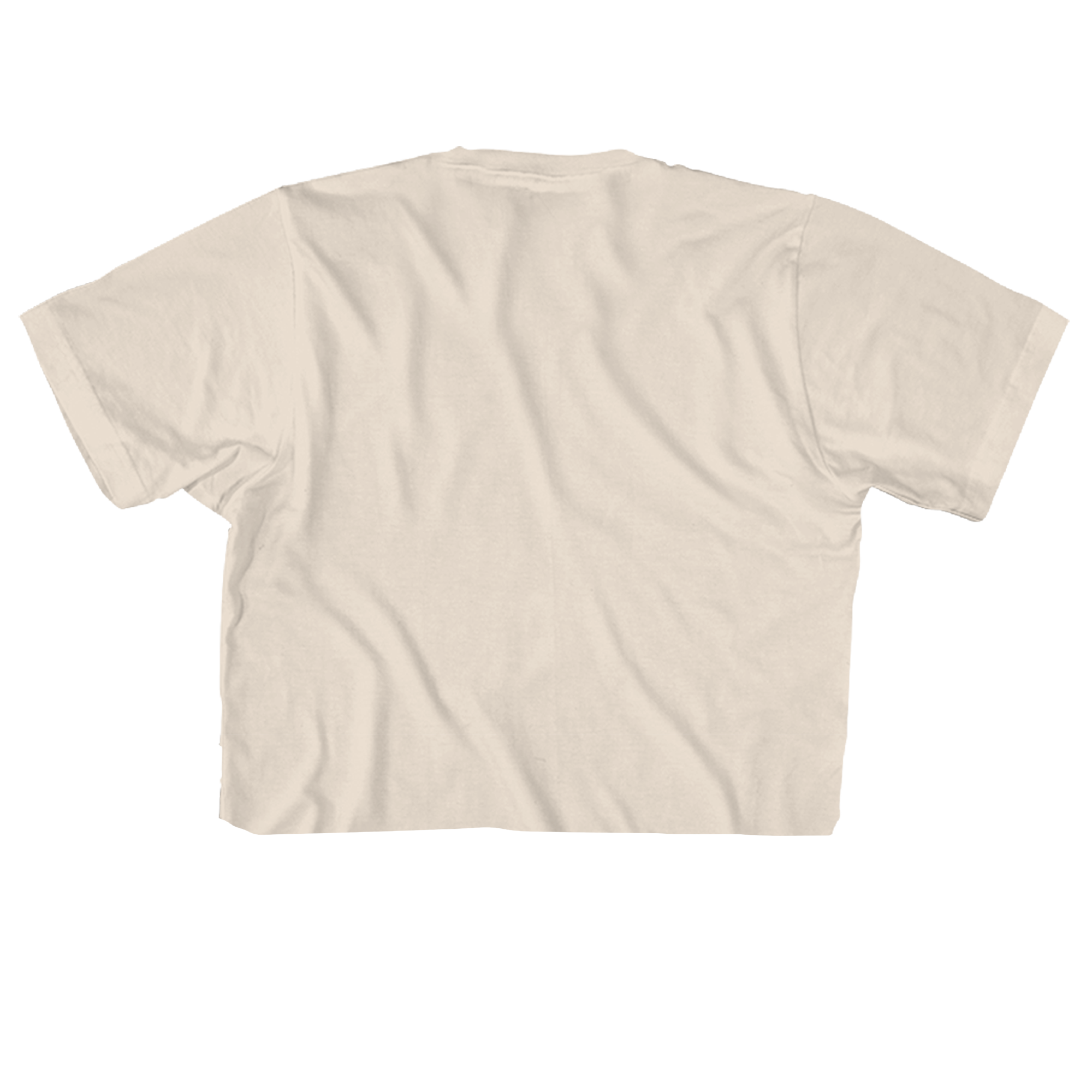 SPICE GIRLS GROUP PHOTO 21" CROPPED NATURAL T-SHIRT