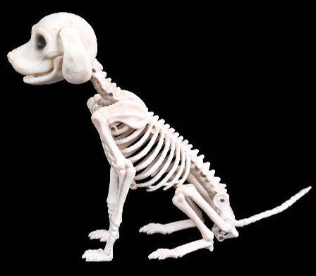 Halloween Decoration Artificial Animal Skeleton - My Store - Flyclothing LLC