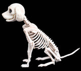 Halloween Decoration Artificial Animal Skeleton - My Store - Flyclothing LLC