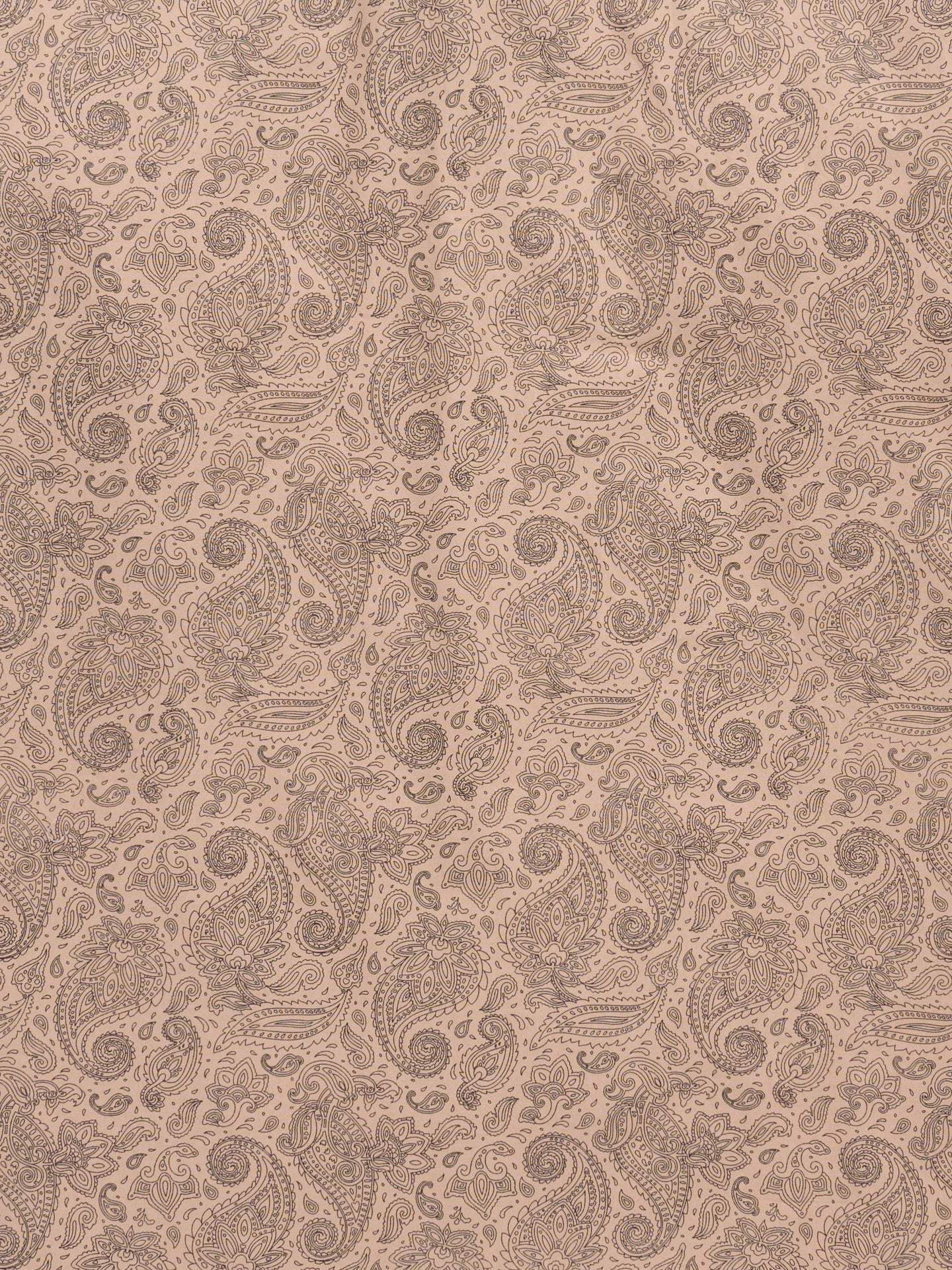 Men's Ely Cattleman Long Sleeve Paisley Print Western Snap Shirt- Khaki - Ely Cattleman - Flyclothing LLC