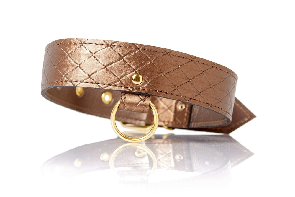 Allure Lingerie Darling Pet Collar With Leash - Allure Lingerie - Flyclothing LLC