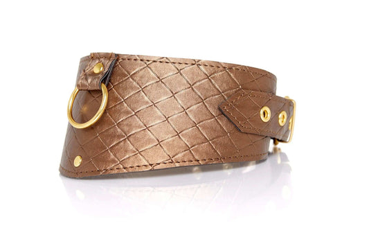 Allure Lingerie Look At Me Posture Collar - Allure Lingerie - Flyclothing LLC