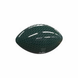 South Florida Carbon Fiber Mini Size Glossy Football - Logo Brands - Flyclothing LLC