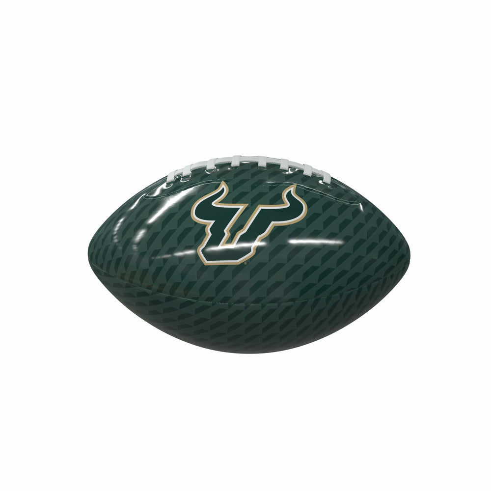 South Florida Carbon Fiber Mini Size Glossy Football - Logo Brands - Flyclothing LLC