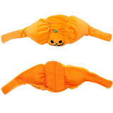 Fashion Halloween Pet Cat Dog Pumpkin Hat - My Store - Flyclothing LLC