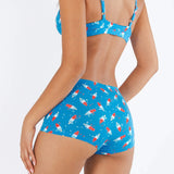The Popsicle Stick | USA Popsicle Modal Boyshort Underwear