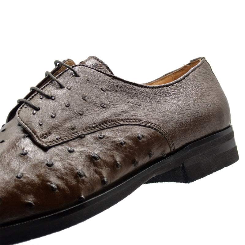 23-538-BRN ANDREA Ostrich Quill Lace Up, Brown - Zelli Italia - Flyclothing LLC