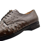 23-538-BRN ANDREA Ostrich Quill Lace Up, Brown - Zelli Italia - Flyclothing LLC