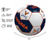 Virginia Soccer Ball