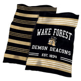 Wake Forest Colorblock Plush Blanket