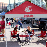 WA State Economy Canopy
