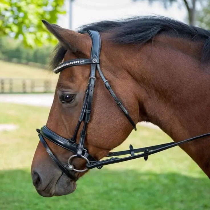 Henri de Rivel Diamonte Dressage Bridle - Breeches.com - Flyclothing LLC