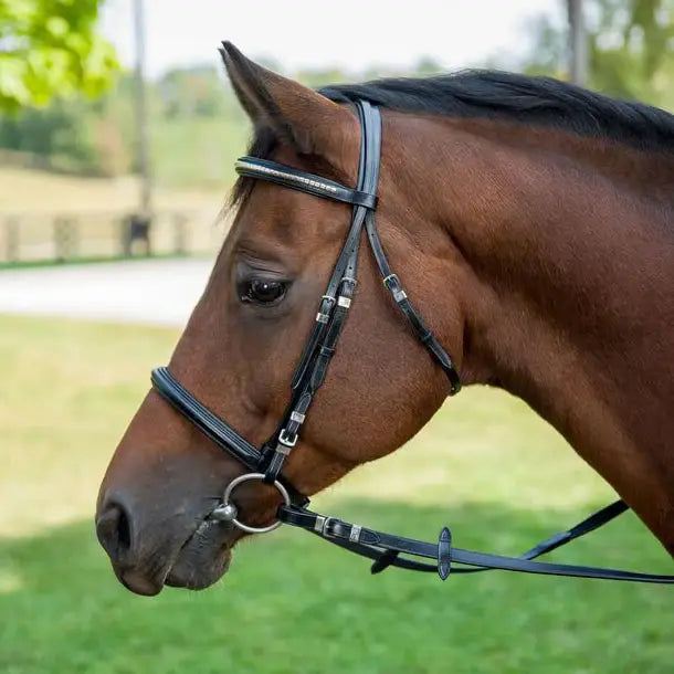 Henri de Rivel Clincher Bridle - Breeches.com - Flyclothing LLC